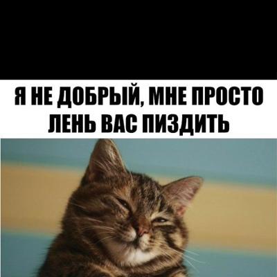 Андрей Борисенков
