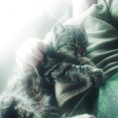 Евгений Аикко