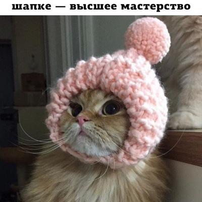 Джаконда .........