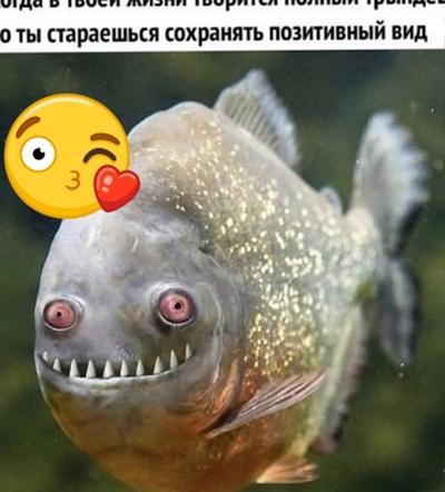 Людмила Катунина