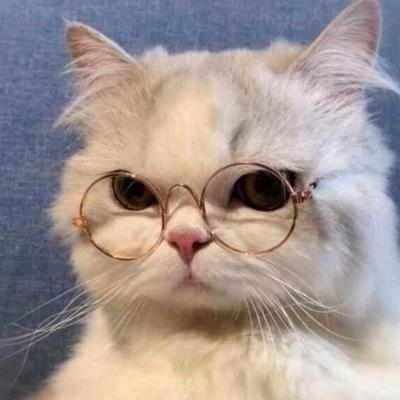Алексей Николаев