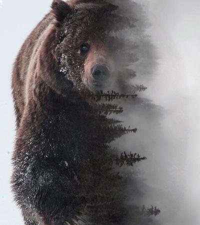 Александр Стангель